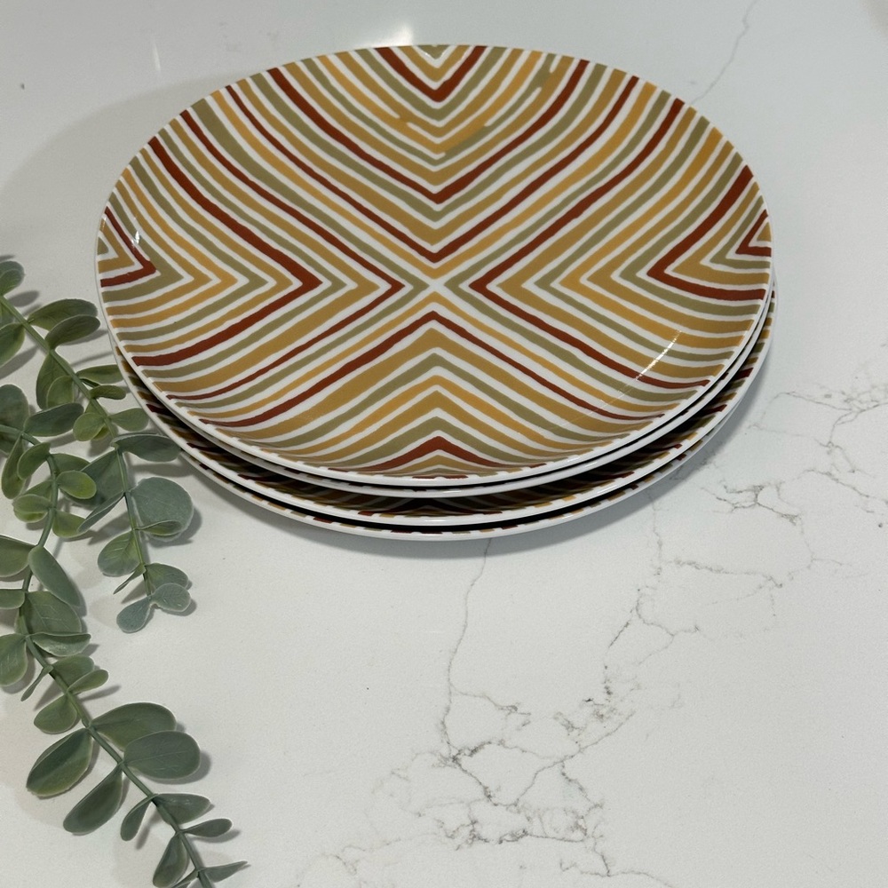 Set Of 4 West Elm Microwave and Dishwasher Safe Plates Brown Green Stripe Plates